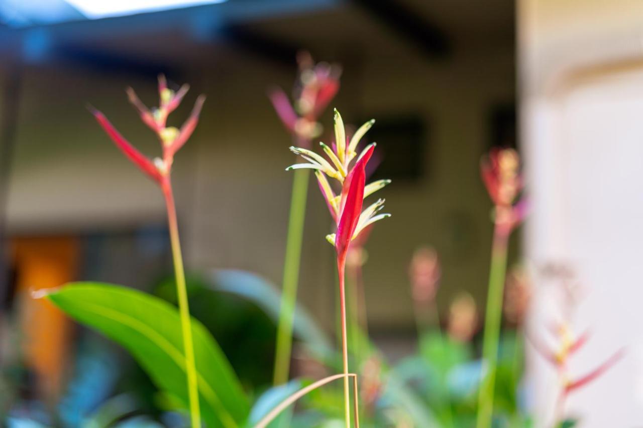 Noahs Hideaway Luxury B&B Lahaina Ngoại thất bức ảnh